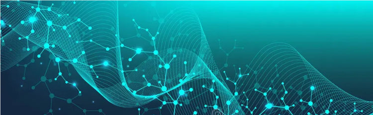 Elite Research Peptides
