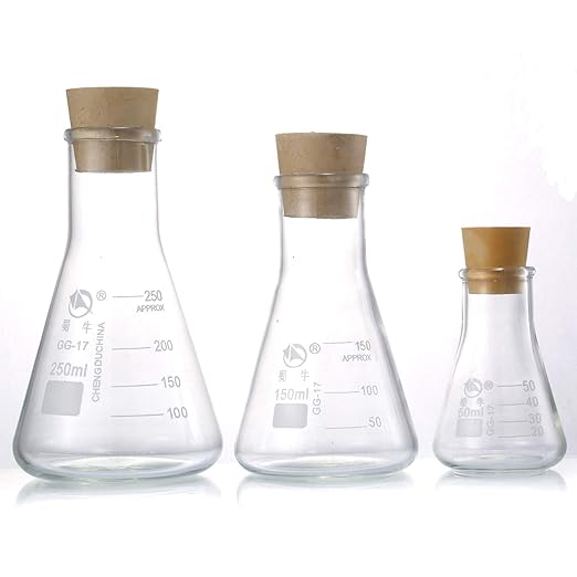 Glass Erlenmeyer Flask Set